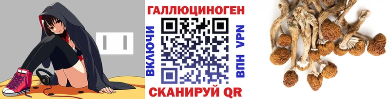 Галлюциногенные грибы MAGIC MUSHROOMS Алейск